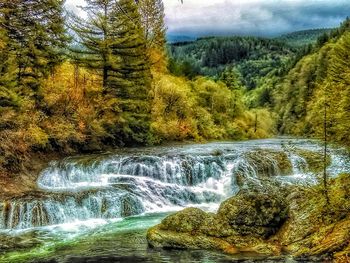 Scenic view of waterfall in forest