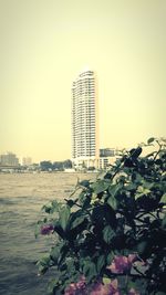 Skyscrapers in city
