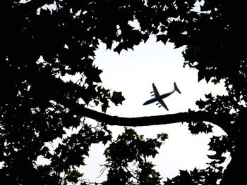 Low angle view of silhouette birds flying against sky