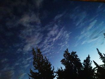 Low angle view of trees against cloudy sky