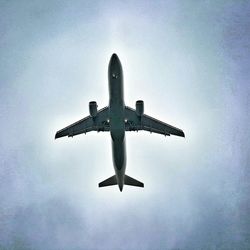 Low angle view of bird flying in sky