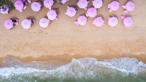 High angle view of pink petals on rocks