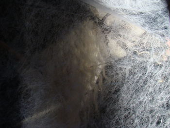 Close-up of wave in water