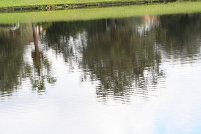 Reflection of duck in lake