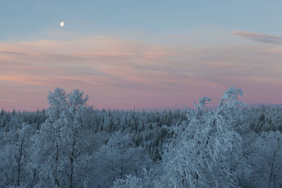 Scenic view of snow covered landscape