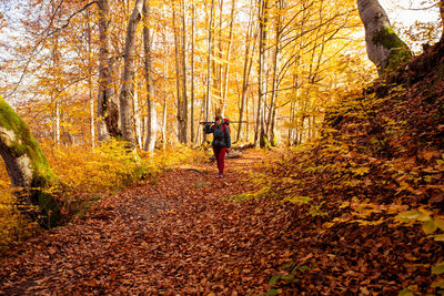 Rear view of man walking in forest during autumn