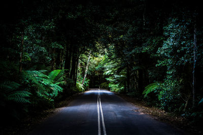 Road amidst trees in forest