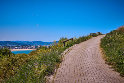 Footpath amidst plants against blue sky