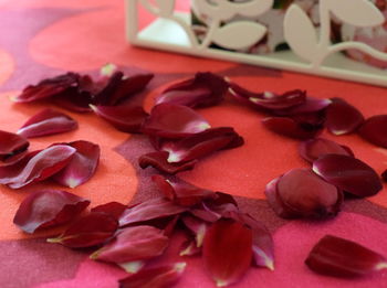 Close-up of rose petals on a table 