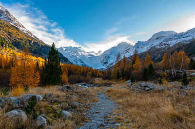 A close-up view of the morteratsch glacier in autumn, engadin, switzerland.