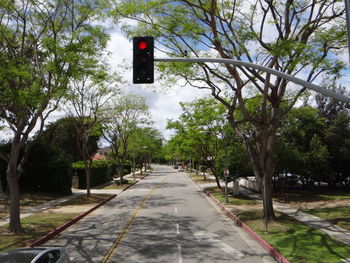 Empty road along trees and plants in city