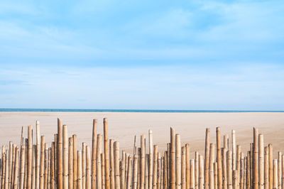 Wooden posts on beach against sky