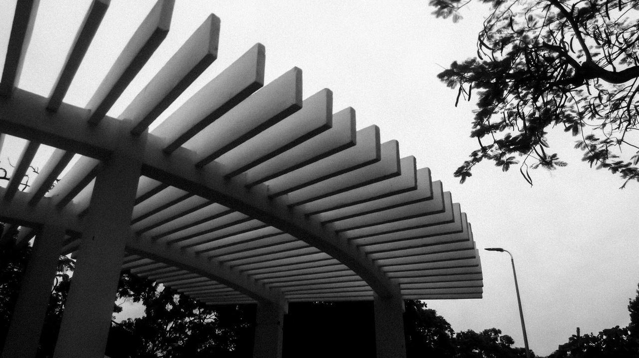 low angle view, built structure, tree, architecture, clear sky, building exterior, sky, roof, house, no people, high section, outdoors, branch, in a row, day, building, nature, copy space, railing, growth