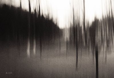 Full frame shot of bare trees against sky