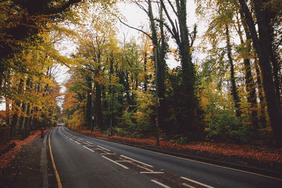 Road amidst trees in forest during autumn