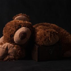 Close-up of stuffed toy against black background