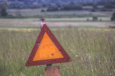 Bird on wooden post