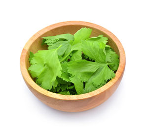 High angle view of green leaves on white background