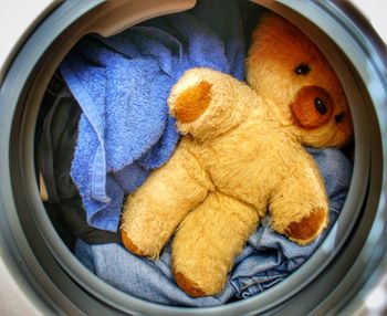 Close-up of teddy bead in washing mashine