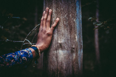 Close-up of hand touching tree trunk