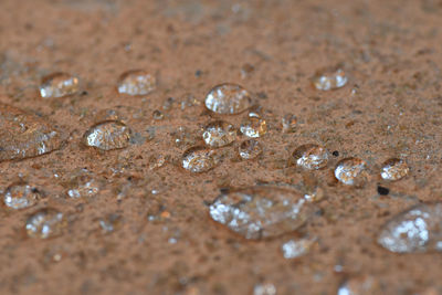 Close-up of water drops on sand