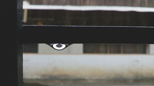 Close-up of wet window