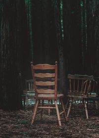 Empty chairs and trees on field in forest