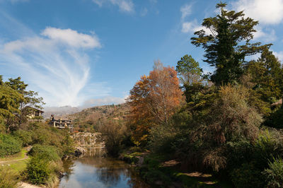 Trees by river against sky during autumn