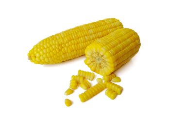 High angle view of yellow leaf on white background