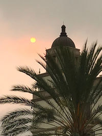 Palm tree by building against sky during sunset