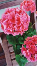 Close-up of pink rose bouquet