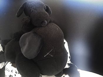 teddy bear