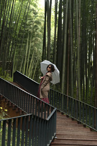 Bird in forest