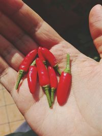 Cropped image of person showing red chili peppers