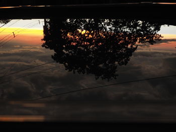 Silhouette tree against sky during sunset