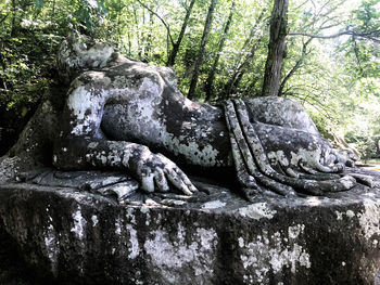 View of statue of tree trunk