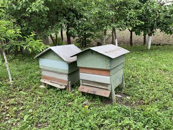 View of an animal on grassy field