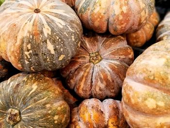 Full frame shot of pumpkins at market stall