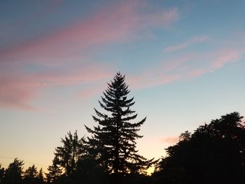 Low angle view of silhouette tree against sky at sunset