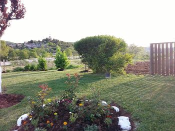 Scenic view of landscape against clear sky