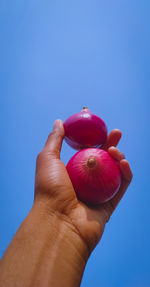 Close-up of hand holding red onion against blue sky