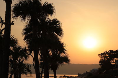 Silhouette palm trees against sky during sunset