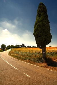 Road by trees on field against sky