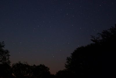 Low angle view of star field against star field