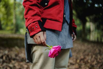 Midsection of person holding pink rose 