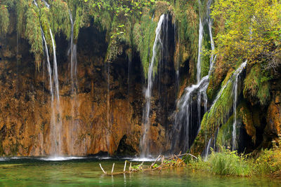 Scenic view of waterfall in forest