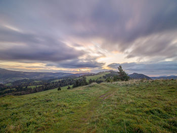 Scenic view of field against sky during sunset