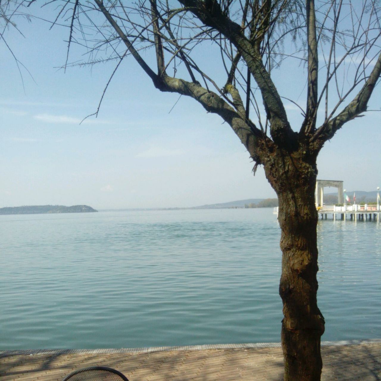 water, sea, tranquility, tranquil scene, tree, sky, scenics, nature, branch, tree trunk, beauty in nature, horizon over water, rippled, bare tree, day, beach, blue, idyllic, shore, outdoors