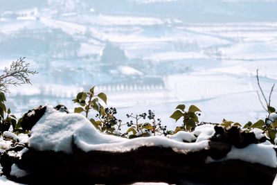 Scenic view of snow covered land and mountains