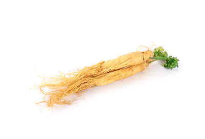 High angle view of food against white background